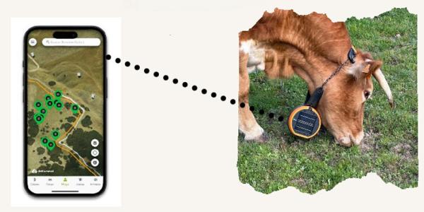 Behiendako%20GPS%20lepokoa